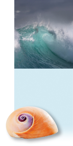 Angebot und Zielgruppen